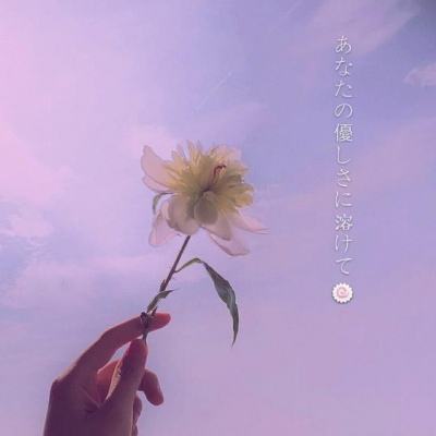 幸福公式女尊